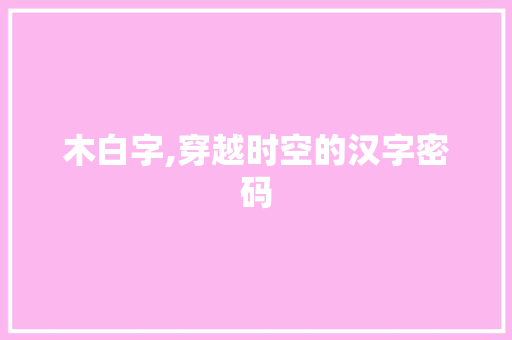 木白字,穿越时空的汉字密码