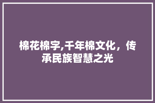 棉花棉字,千年棉文化，传承民族智慧之光