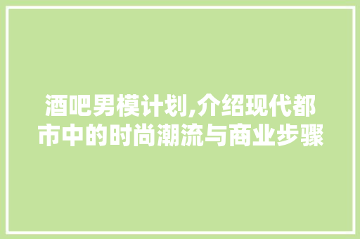 酒吧男模计划,介绍现代都市中的时尚潮流与商业步骤
