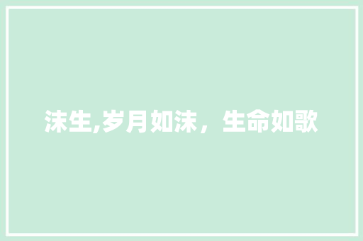 沫生,岁月如沫，生命如歌