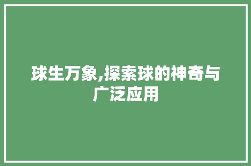 球生万象,探索球的神奇与广泛应用