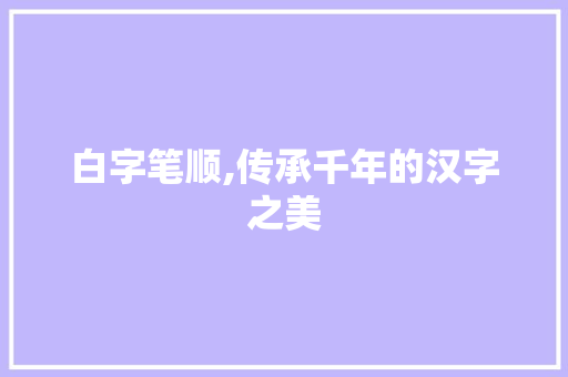 白字笔顺,传承千年的汉字之美