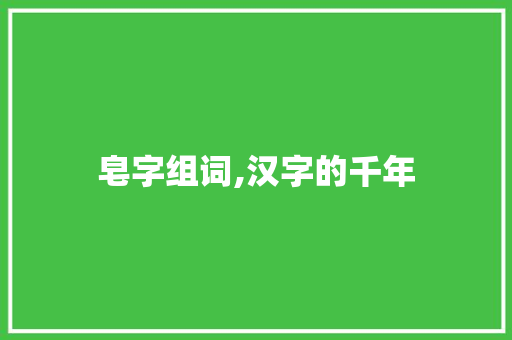 皂字组词,汉字的千年