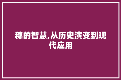 穗的智慧,从历史演变到现代应用