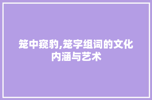 笼中窥豹,笼字组词的文化内涵与艺术