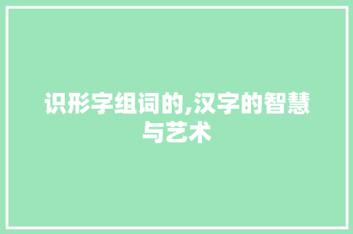 识形字组词的,汉字的智慧与艺术