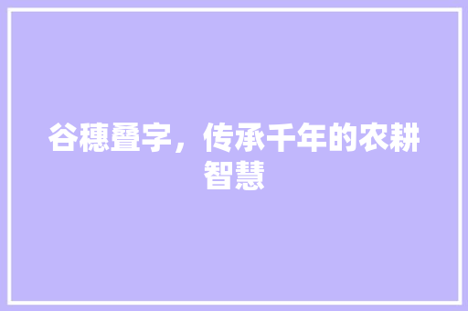 谷穗叠字，传承千年的农耕智慧
