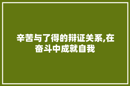 辛苦与了得的辩证关系,在奋斗中成就自我