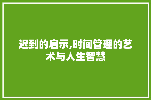 迟到的启示,时间管理的艺术与人生智慧