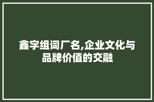 鑫字组词厂名,企业文化与品牌价值的交融
