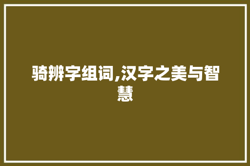 骑辨字组词,汉字之美与智慧