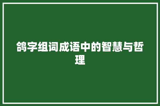 鸽字组词成语中的智慧与哲理