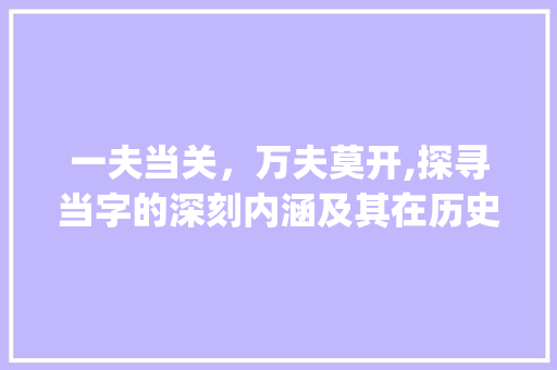 一夫当关，万夫莫开,探寻当字的深刻内涵及其在历史与现实中的价值_一夫当关当字的意思