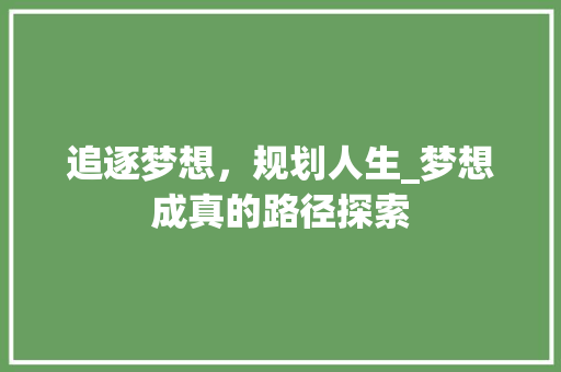 追逐梦想，规划人生_梦想成真的路径探索