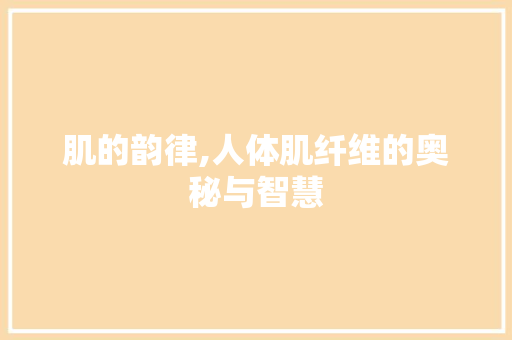 肌的韵律,人体肌纤维的奥秘与智慧