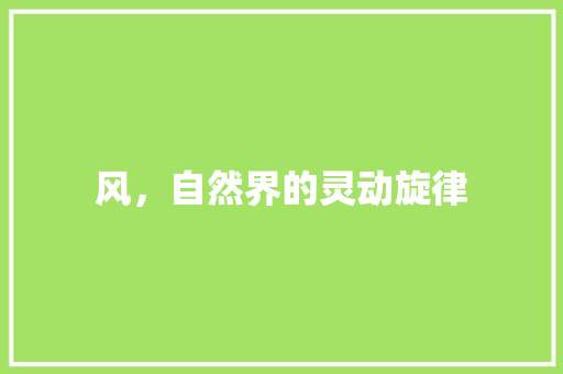 风，自然界的灵动旋律