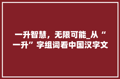 一升智慧，无限可能_从“一升”字组词看中国汉字文化的