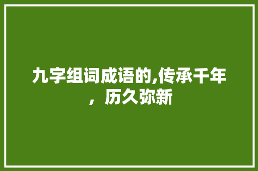 九字组词成语的,传承千年，历久弥新