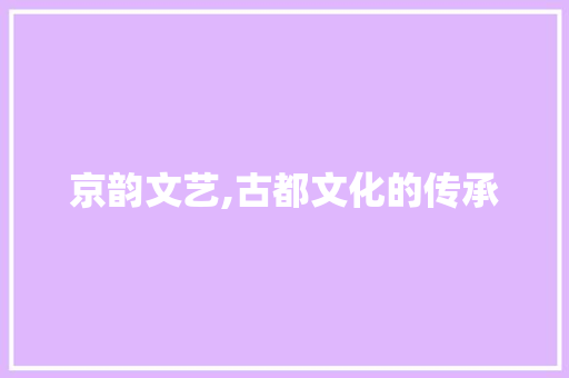 京韵文艺,古都文化的传承