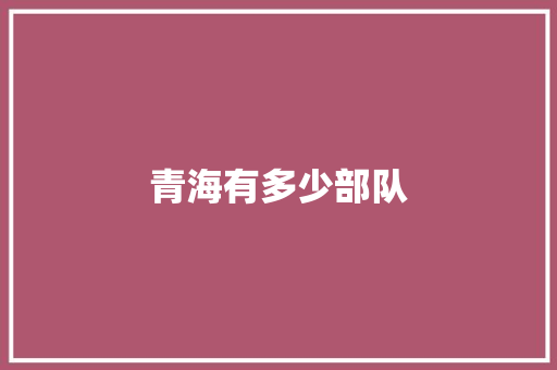 青海有多少部队