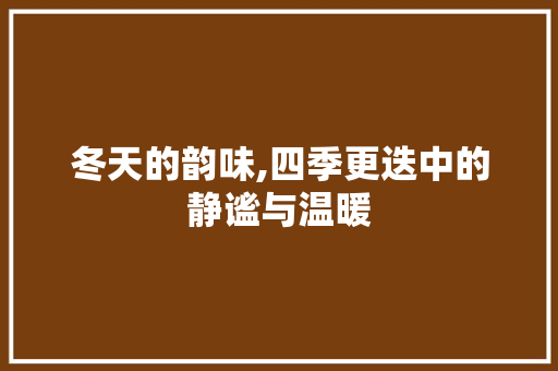 冬天的韵味,四季更迭中的静谧与温暖