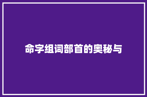 命字组词部首的奥秘与