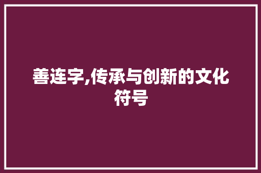善连字,传承与创新的文化符号
