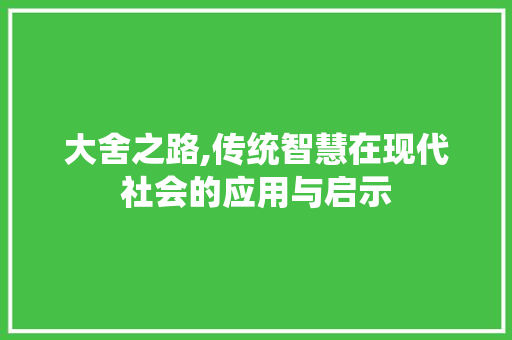 大舍之路,传统智慧在现代社会的应用与启示