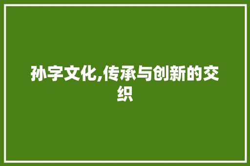 孙字文化,传承与创新的交织