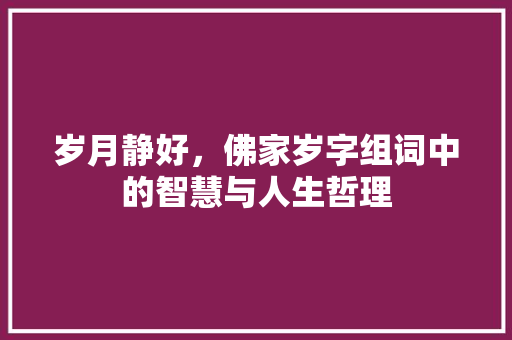 岁月静好，佛家岁字组词中的智慧与人生哲理