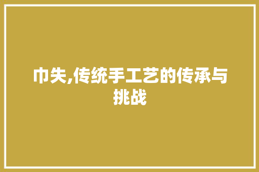 巾失,传统手工艺的传承与挑战