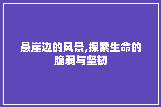 悬崖边的风景,探索生命的脆弱与坚韧