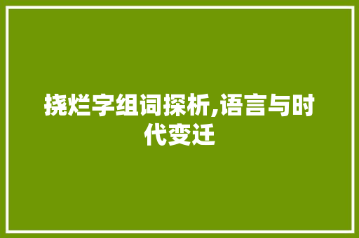 挠烂字组词探析,语言与时代变迁