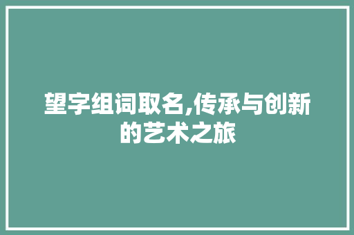 望字组词取名,传承与创新的艺术之旅