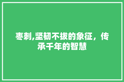 枣刺,坚韧不拔的象征，传承千年的智慧