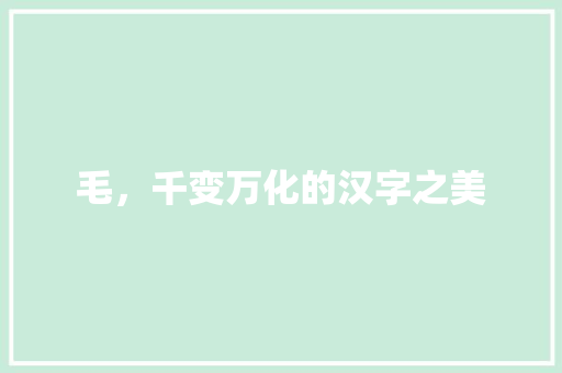 毛，千变万化的汉字之美