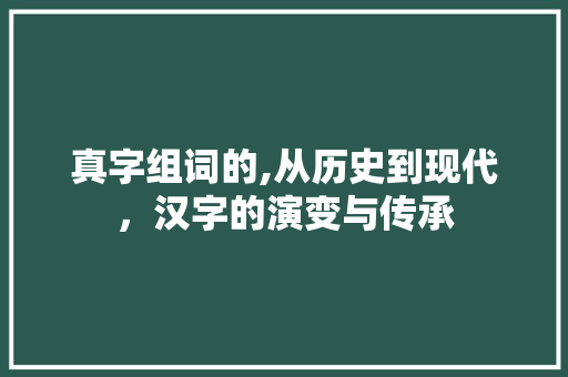真字组词的,从历史到现代，汉字的演变与传承