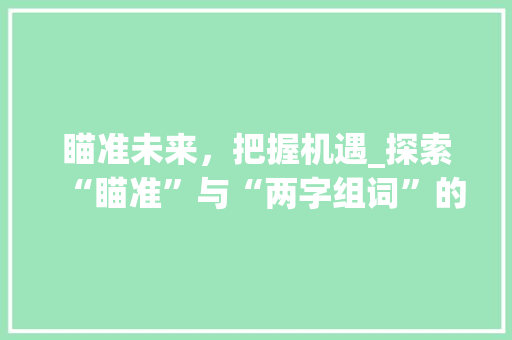 瞄准未来，把握机遇_探索“瞄准”与“两字组词”的无限可能