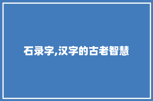 石录字,汉字的古老智慧