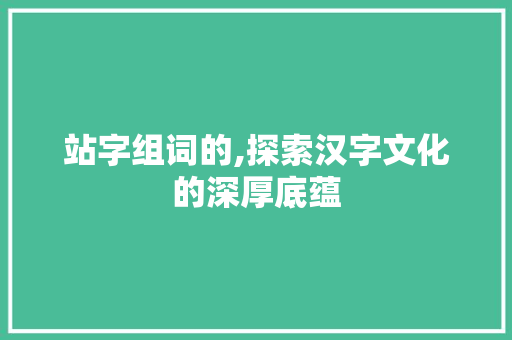 站字组词的,探索汉字文化的深厚底蕴