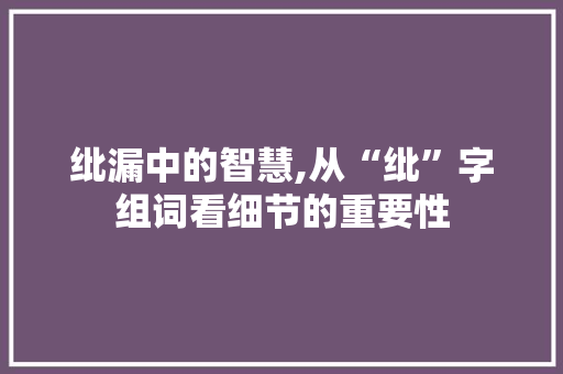 纰漏中的智慧,从“纰”字组词看细节的重要性