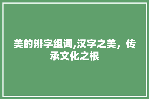 美的辨字组词,汉字之美，传承文化之根