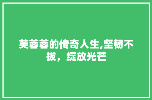 芙蓉蓉的传奇人生,坚韧不拔，绽放光芒