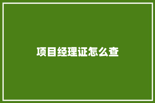 项目经理证怎么查