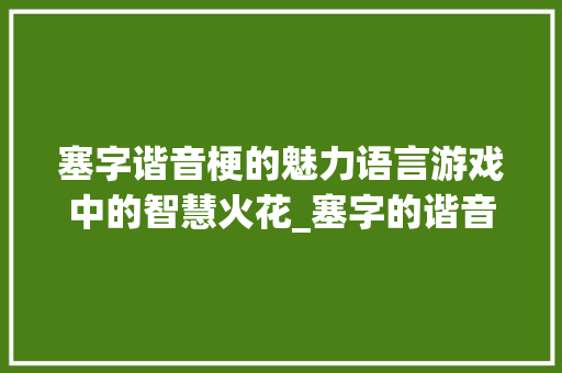 塞字谐音梗的魅力语言游戏中的智慧火花_塞字的谐音梗是什么意思