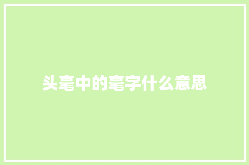 头毫中的毫字什么意思