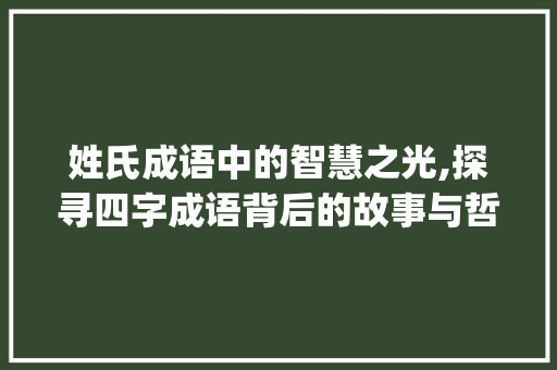 姓氏成语中的智慧之光,探寻四字成语背后的故事与哲理_带姓氏的四字成语意思
