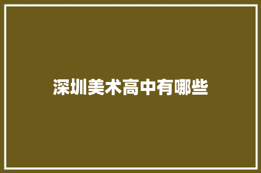 深圳美术高中有哪些