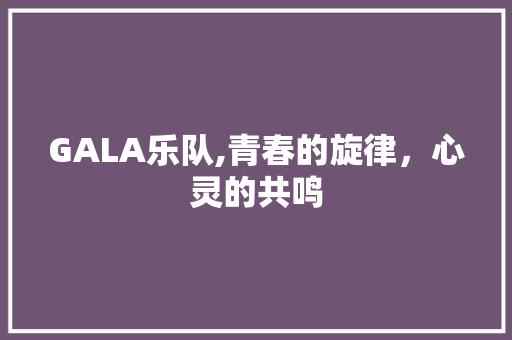 GALA乐队,青春的旋律，心灵的共鸣