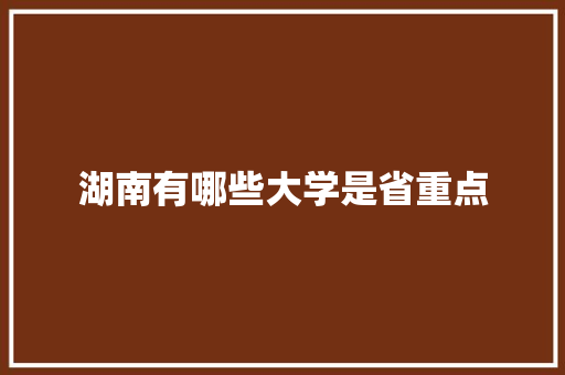 湖南有哪些大学是省重点